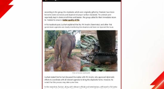 Committee to Probe Gifted Thai Tuskers